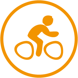 Sportivite